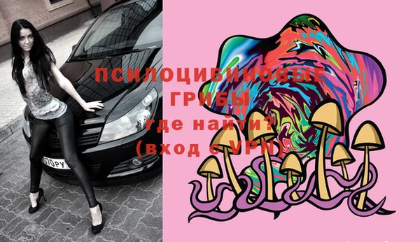 гидра Алексеевка