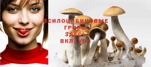 молекула духа Алзамай