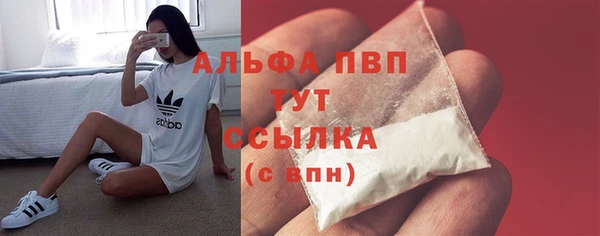 гидра Алексеевка