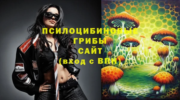 гидра Алексеевка