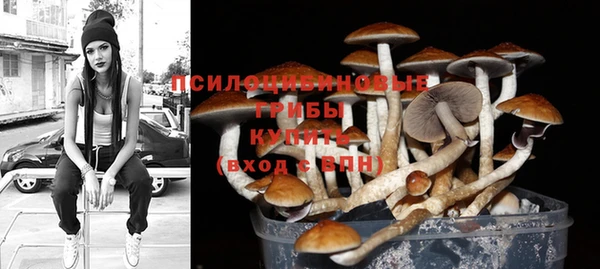 гидра Алексеевка