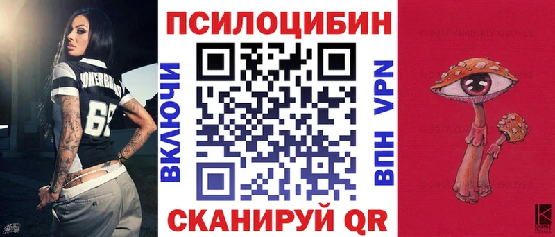 Галлюциногенные грибы Psilocybine cubensis где можно купить Ангарск